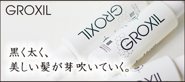 GROXIL